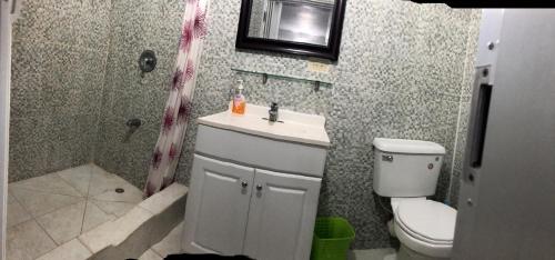 a bathroom with a toilet and a sink and a shower at Tropical Apartments Tobago in Scarborough