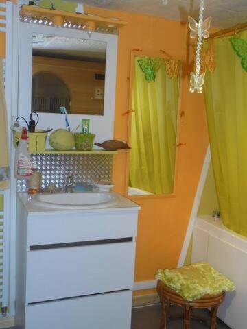 une salle de bain avec un lavabo et un miroir dans l'établissement blue room, kitchenette, à Chaumont