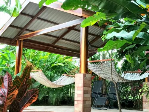 two hammocks under a pergola in a garden at San Gabriel Apartments in Fortuna