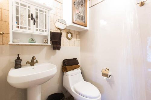 La petite salle de bains est pourvue d'un lavabo et de toilettes. dans l'établissement Quiet Private Studio with Pool for One Guest, à Lake Worth