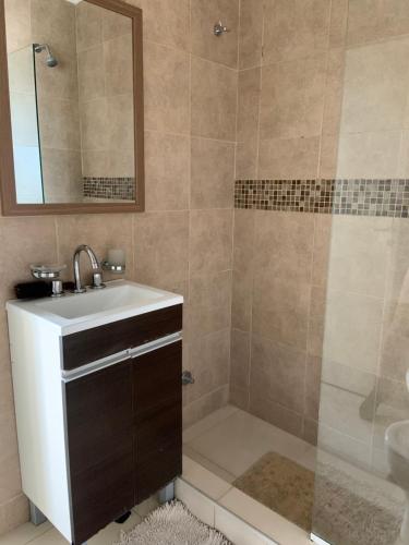 a bathroom with a sink and a shower with a mirror at Hermoso departamento un dormitorio in Santa Fe