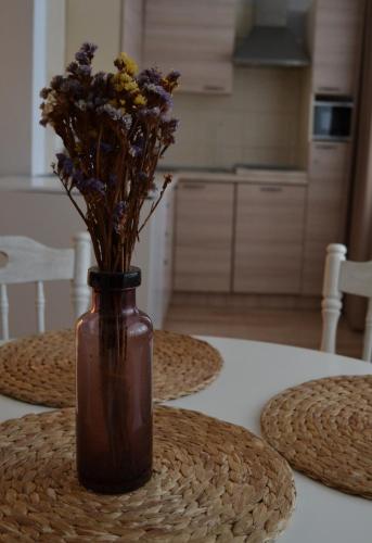 Dapur atau dapur kecil di Šaulys