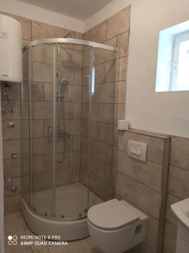uma casa de banho com um chuveiro, um WC e um lavatório. em Apartment Kosor em Zaboric