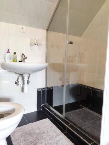 a bathroom with a shower and a sink at Naszály Kapuja vendégház in Kosd