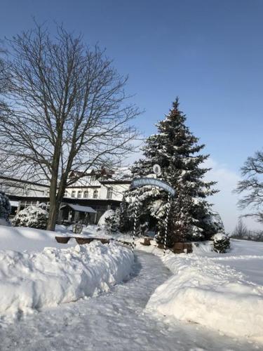 a snow covered yard with a house and a christmas tree at Hotel Schöne Aussicht in Weißenfels