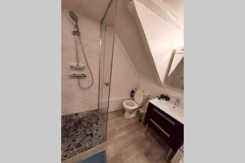 une salle de bain avec douche et toilettes dans l'établissement La petite Dieppoise 3 étoiles meublé de tourisme Entre plage et port, à Dieppe