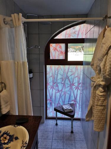 a bathroom with a shower and a sink and a window at Hacienda del Lago Boutique Hotel in Ajijic