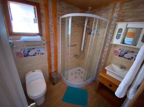 a bathroom with a shower and a toilet and a sink at Cabañas y Hostel Isla Magica in Ancud