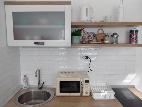 a kitchen counter with a microwave and a sink at BLUE DANUBE in Belgrade