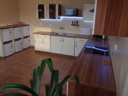 a kitchen with white cabinets and a potted plant at Pension Růžák in Růžová