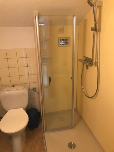 a bathroom with a shower with a toilet at "Falkenstein" in Davos