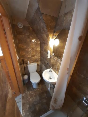 a small bathroom with a toilet and a sink at Pokoje u Kordeckich in Niedzica Zamek