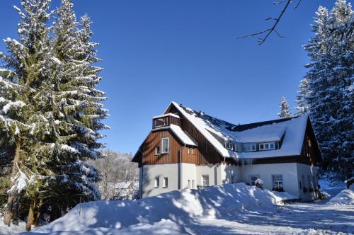 Erzgebirgshotel Misnia Bärenfels зимой