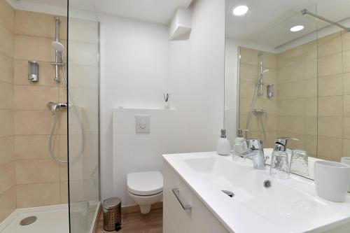 une salle de bain avec un lavabo, une douche et des toilettes dans l'établissement Petite Venise Gîte Saint Pierre 2 pièces 3 étoiles classement tourisme, à Colmar
