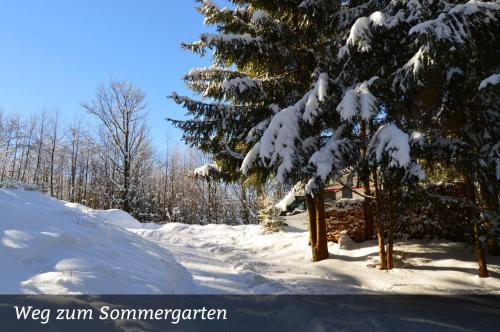 Erzgebirgshotel Misnia Bärenfels зимой