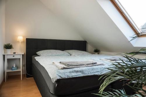 a bedroom with a bed with a black headboard at Surfer Loft with AC and sun terrace in Bonn