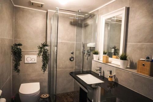 a bathroom with a shower and a sink and a toilet at Surfer Loft with AC and sun terrace in Bonn