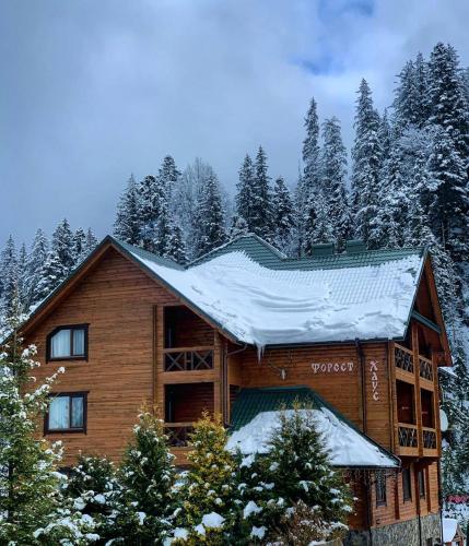 a log house with snow on the roof at Forest House in Tatariv