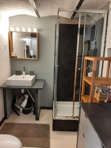 a bathroom with a shower and a sink at La Jovine Sur les hauteurs de cassis T2 Classé in Cassis