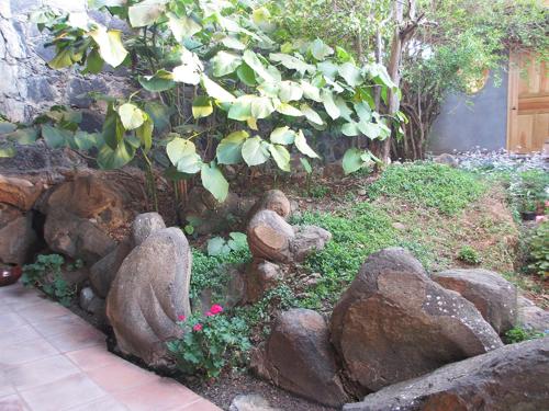 a garden with statues of bears sitting on rocks at Hotel Estancia de la Era B&B in Pátzcuaro