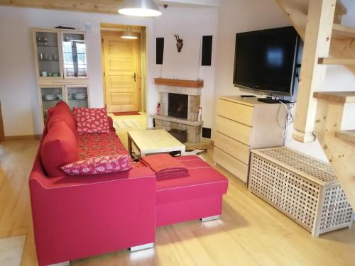 Televízia a/alebo spoločenská miestnosť v ubytovaní Apartament Markówka w Kościelisku