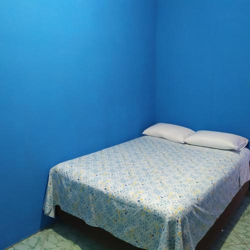 a blue room with a bed with two pillows at Quarto Duplo Confort in Barueri