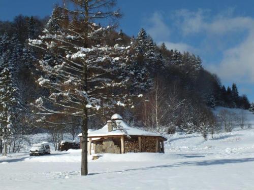 a snow covered tree in front of a small cabin at Perełka Bieszczady Domki in Cisna