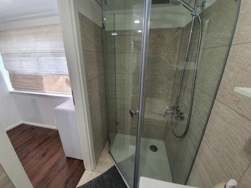 a shower with a glass door in a bathroom at Handwerkerwohnung - Monteurunterkunft in Crumstadt