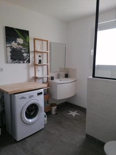 une salle de bain avec une machine à laver et un lavabo dans l'établissement Gîte Le Cherche Midi, à Gaillac