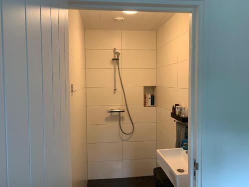 ein Bad mit einer Dusche und einem Waschbecken in der Unterkunft Huisje Boompje Beerze in Beerze