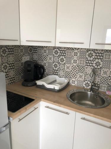 a kitchen counter with a sink and a tile wall at Appartement avec SPA-avril à sept-Camargue 4 personnes in Saint-Laurent-dʼAigouze
