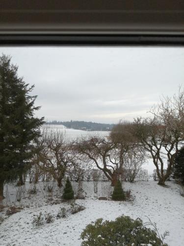 een uitzicht op een besneeuwd veld met bomen bij Stenhøj Bed and Breakfast, v. Jette og Marius in Erslev