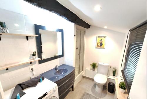 une salle de bain avec un lavabo et des toilettes dans l'établissement LA TERRASSE DE JEANNE - Vue Magnifique - Netflix, à Toulouse