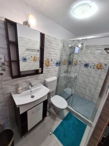 a bathroom with a shower and a sink and a toilet at Casa Hera in Călimăneşti