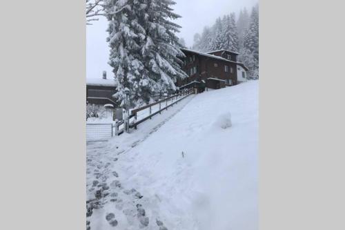 a snow covered yard with a house and trees at Chalet Sonnenheim mit atemberaubender Aussicht in Adelboden