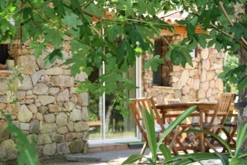 Zahrada ubytování Chalet Conca