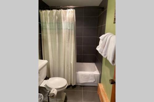 a bathroom with a white toilet and a shower at Best creek view and mountain view in town. Unbeatable location in Vail