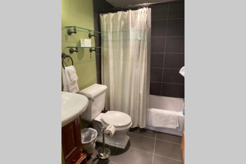 a bathroom with a white toilet and a sink at Best creek view and mountain view in town. Unbeatable location in Vail
