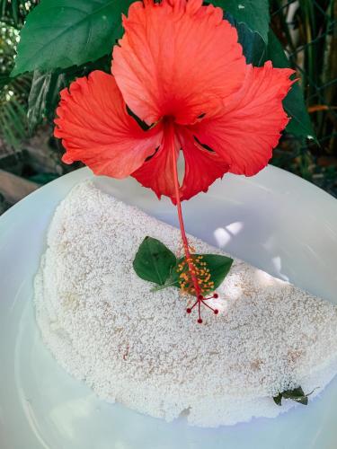 a red flower sitting on top of a white plate at Chez Max Pousada in Morro de São Paulo