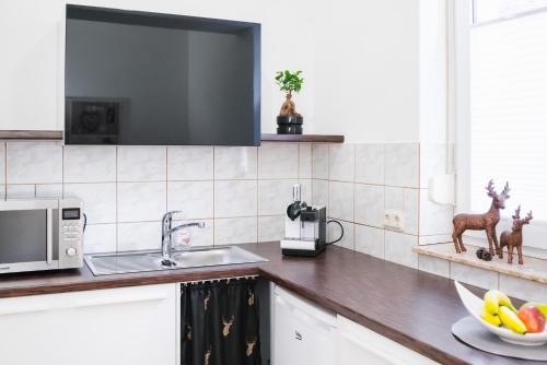 a kitchen with a counter with a sink and a microwave at Am Landhof Heiligenstadt Ferienwohnung in Heilbad Heiligenstadt