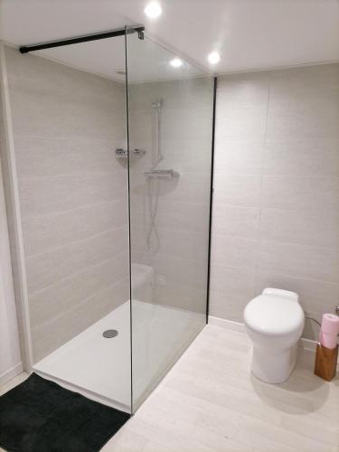 une salle de bain avec toilettes et douche en verre dans l'établissement Gîtes aux cœurs des vignes a 10mm du zoo de beauval 3 étoiles, à Mareuil-sur-Cher