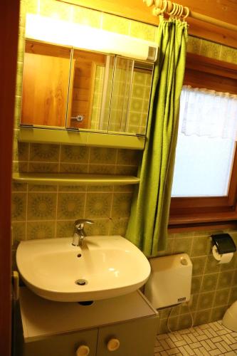 a bathroom with a sink and a green shower curtain at Landhaus/Holzhaus in Bad Wünnenberg