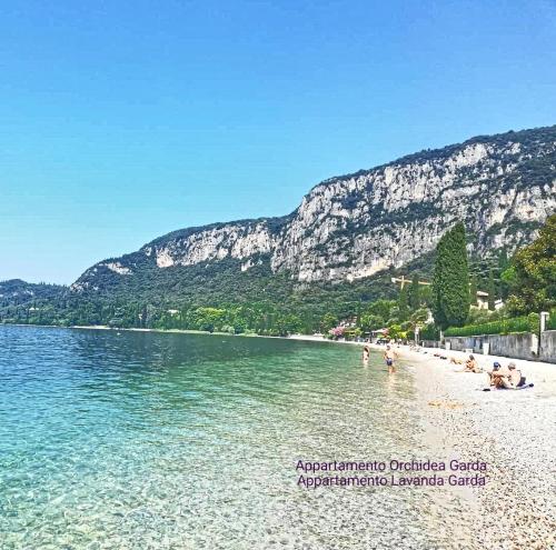 a beach with a group of people in the water at Appartamento Orchidea Garda in Garda