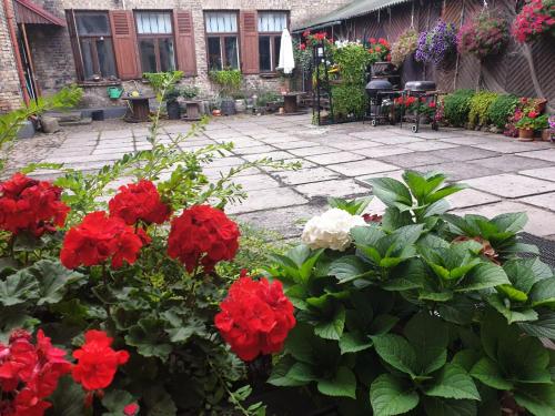 a garden with red and white flowers and a patio at Figaro in Ventspils