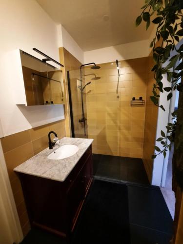 La salle de bains est pourvue d'un lavabo et d'une douche. dans l'établissement De Mussenhof, à Westdorp