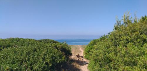 Gallery image of Sa Cannizzada in Funtana Meiga