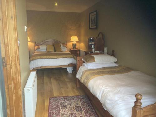 a bedroom with two beds and a rug at Evergreen Bed & Breakfast in Swords