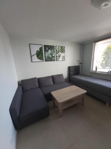 Apartament z ogrodem Tychy