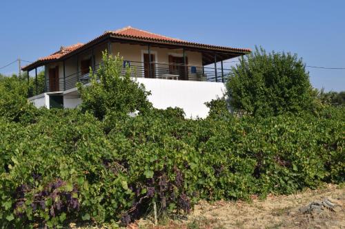 a house on the hill behind some bushes at Villa Alexandros in Koroni