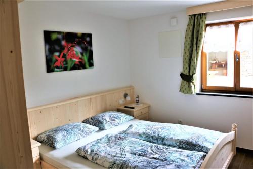 a bedroom with a bed and a window at Alpenappart in Cadipietra